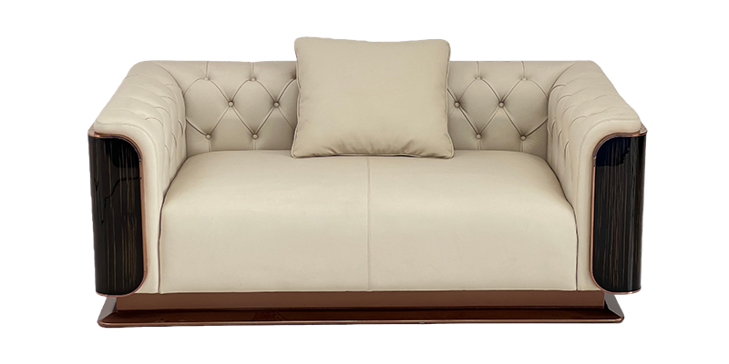 Luxury Modern Sofa