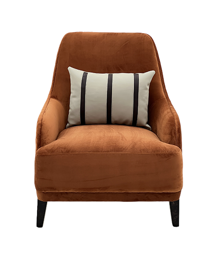 Luxury Velvet Accent Lounge Chair.1